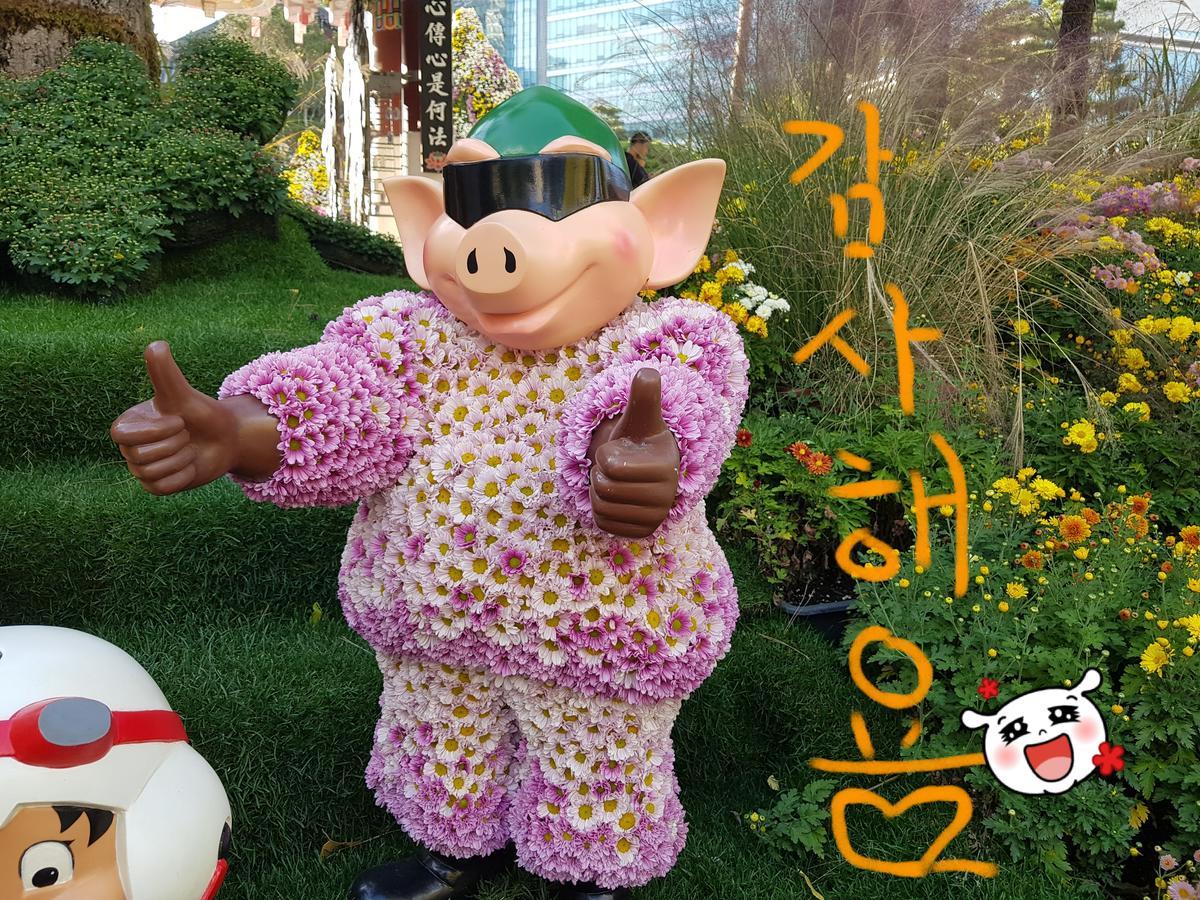 ホームステイ イブ ソウル特別市 エクステリア 写真
